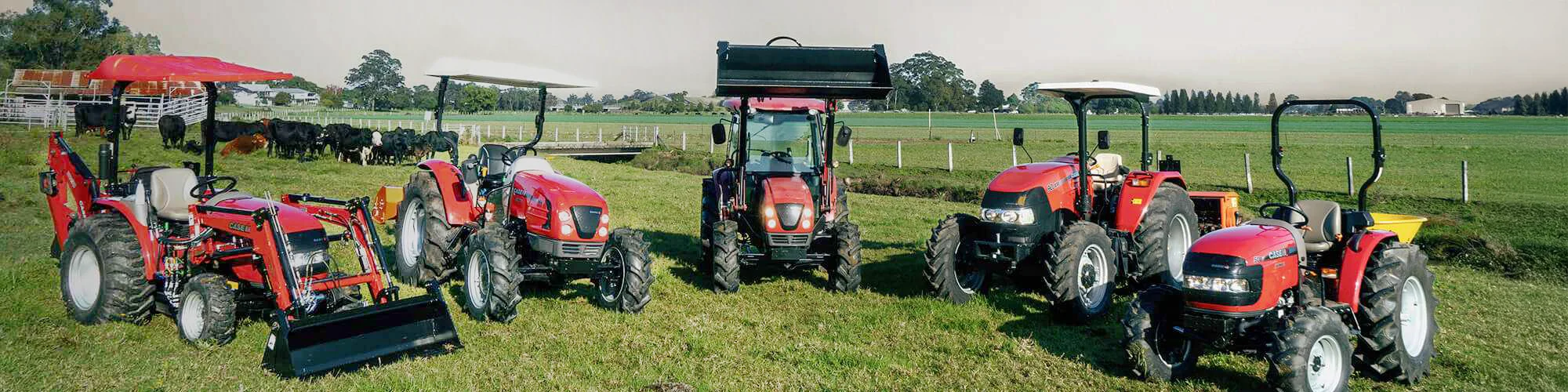 Service