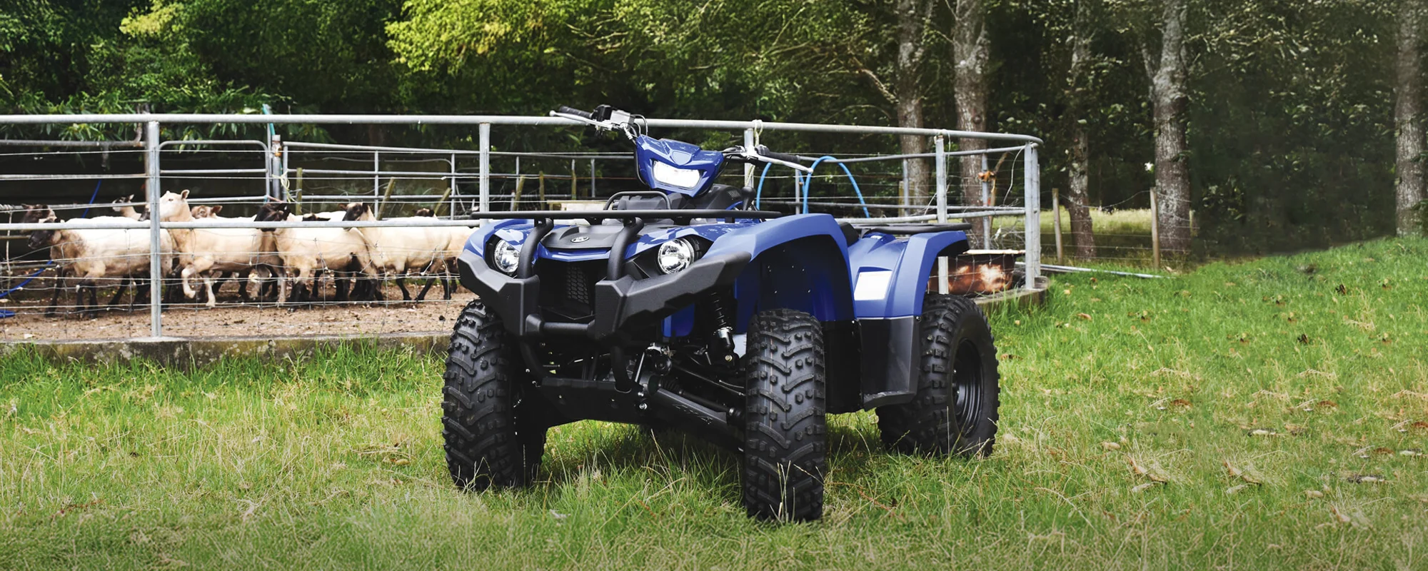 Yamaha Hp